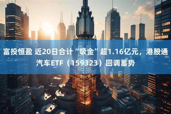 富投恒盈 近20日合计“吸金”超1.16亿元,港股通汽车ETF(159323)回调蓄势