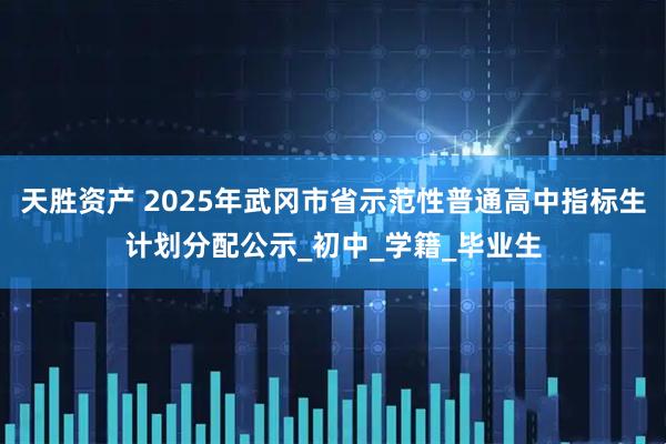 天胜资产 2025年武冈市省示范性普通高中指标生计划分配公示_初中_学籍_毕业生