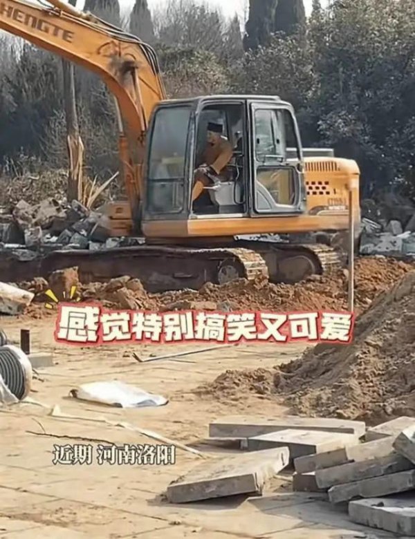 98策略 开挖机、不爱商业，少林寺来了位不一样的住持